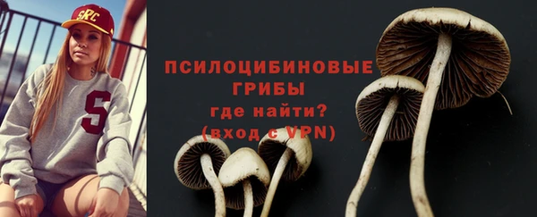 ГАЛЛЮЦИНОГЕННЫЕ ГРИБЫ Алексин