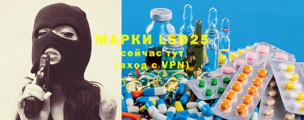 PSILOCYBIN Алексеевка